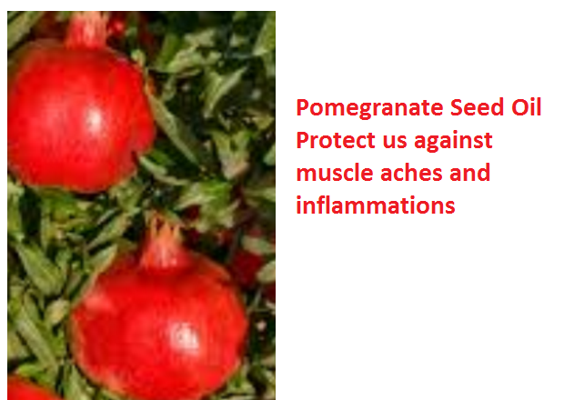 Health Benefits And Uses Of Pomegranate Seed Oil - Pomegranate Seed Oil Protect us against muscle aches and inflammations Health Benefits And Uses Of Pomegranate Seed Oil - Pomegranate Seed Oil Protect us against muscle aches and inflammations