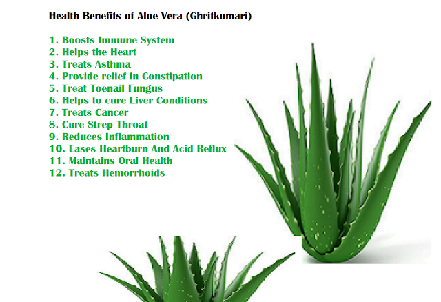 Health Benefits of Aloe Vera (Ghritkumari) Health Benefits of Aloe Vera (Ghritkumari)