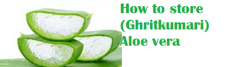 How to store (Ghritkumari) Aloe vera How to store (Ghritkumari) Aloe vera