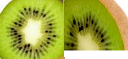 Kiwi Fruit for Cell Regeneration Kiwi Fruit for Cell Regeneration