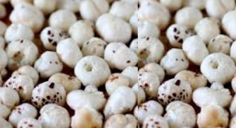 Lotus Seeds,Makkhane meaning in English, hindi, telugu,tamil,marathi,Gujrathi,Malayalam,Kannada Lotus Seeds,Makkhane meaning in English, hindi, telugu,tamil,marathi,Gujrathi,Malayalam,Kannada