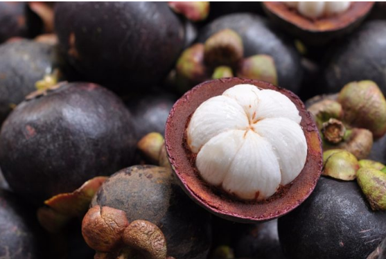 Mangosteen/Kokum/Kokam Benefits for Health,Skin, Health Mangosteen/Kokum/Kokam Benefits for Health,Skin, Health