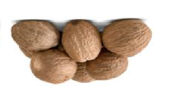 Nutmeg (Jaiphal) Spice Name in different Indian languages (regional)