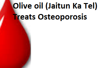 Olive oil (Jaitun Ka Tel) Treats Osteoporosis Olive oil (Jaitun Ka Tel) Treats Osteoporosis