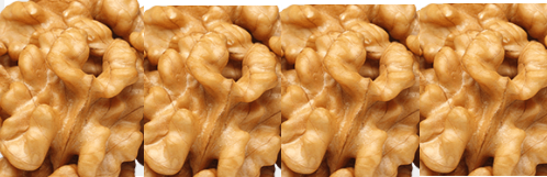 Walnuts (Akhrot - Dry Fruits) - Diarrhea Walnuts (Akhrot - Dry Fruits) - Diarrhea