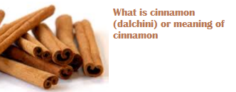 What is cinnamon (dalchini) or meaning of cinnamon What is cinnamon (dalchini) or meaning of cinnamon