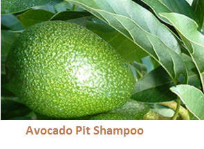 Avocado Pit Shampoo Avocado Pit Shampoo