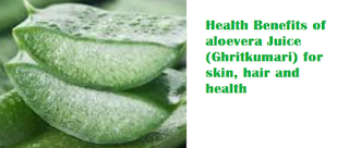 Aloe Vera Aloe Vera