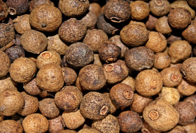 Allspice/Kabab Chini benefits for Skin, Hair and Body Health Allspice/Kabab Chini benefits for Skin, Hair and Body Health